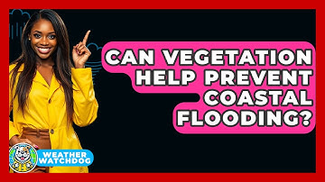 Can Vegetation Help Prevent Coastal Flooding? - Weather Watchdog