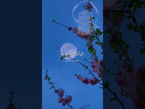تو رفتی و دل من هنوز تو گذشته هاش با صدای هایده گریه می کنه صدایی که هر نتش بوی عشق می ده بوی تو