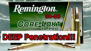 3006 Remington CoreLokt Tipped 180gr Ammo Review & Ballistics Gel Test: Long Range Hunting Option?!