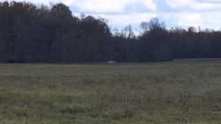 Thundershot Long Range Challenge by Gryphon Energe