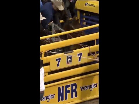 داوسون هاي ضد جيت سمارت 90 نقطة