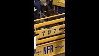 Dawson Hay vs. Get Smart 90 pts Profile