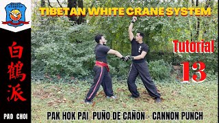 PAK HOK PAI CANNON FIST | TIBETAN WHITE CRANE | WHITE CRANE | LION ROAR | LAMA KUNG FU | 白鶴派