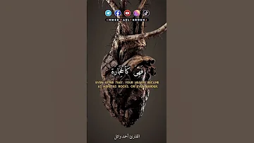 ثم قست قلوبكم من بعد ذلك أحمد وائل 