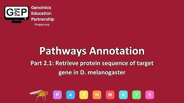 GEP | Pathways Gene Annotation Part 2.1 - Retrieve protein sequence of target gene