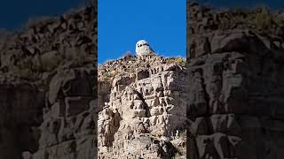 Búho en el Cañón del Atuel