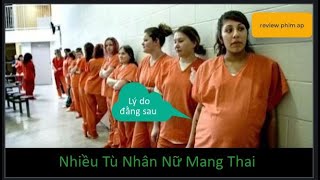 Nhiều nữ tù nhân mang thai mặc dù không có tù nhân nam