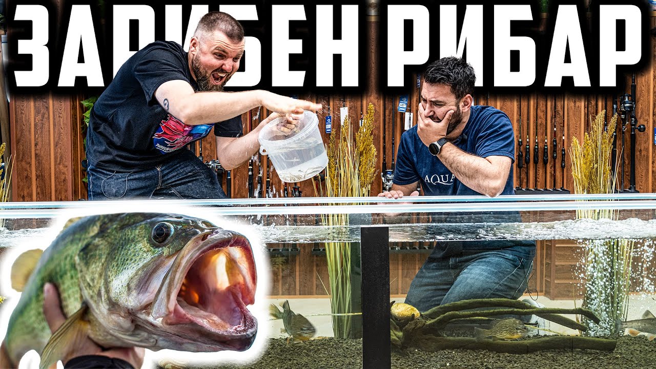 TWITCH FISHING — НАЙ-ЗАРИБЕНИЯТ РИБАР В БЪЛГАРИЯ