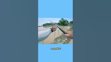 Câu Cá Rô Phi Tại Hồ Dịch Vụ Hà Nội Ngày Khai Trương – Đầy Hấp Dẫn! (1/2)