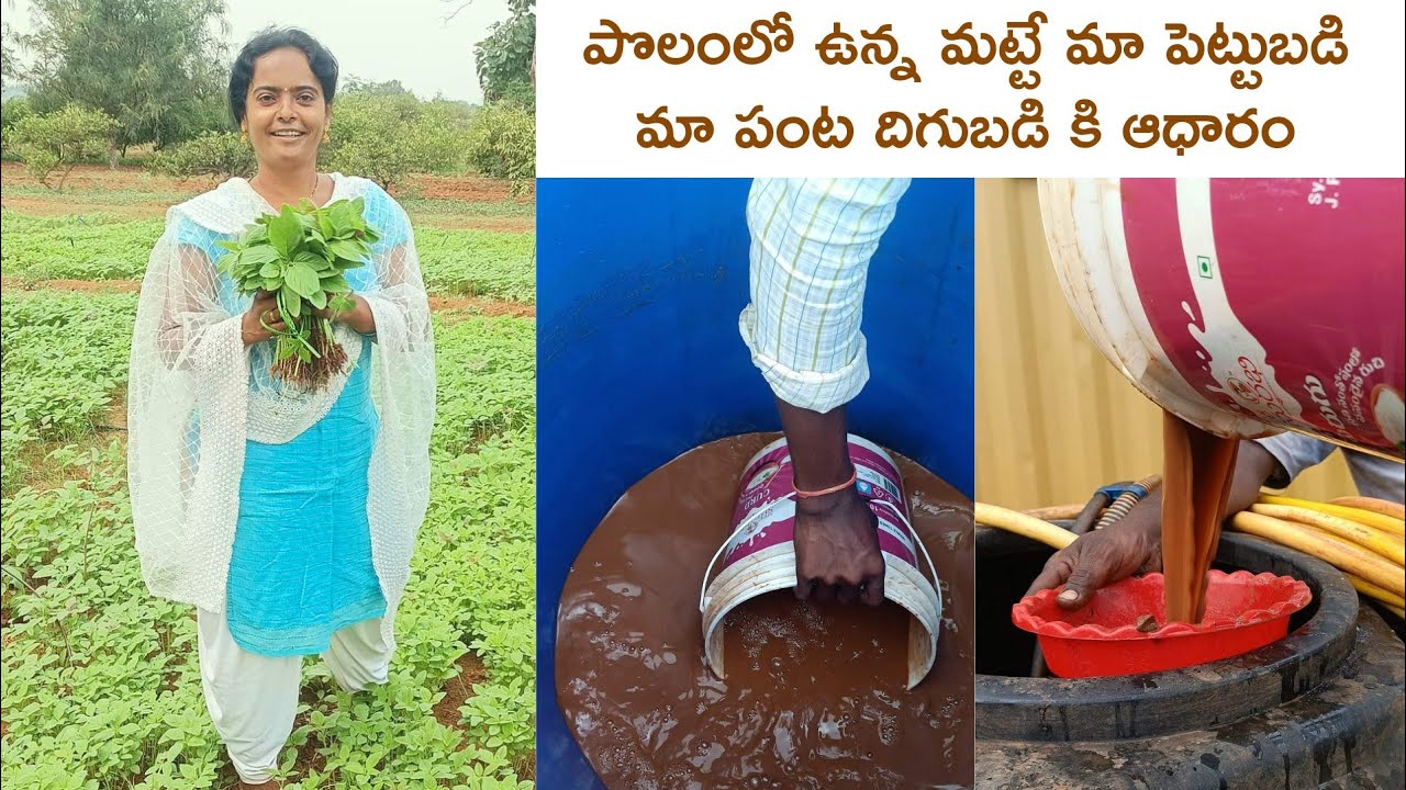 మా పొలంలో ఉన్న మట్టే మా పెట్టుబడి|| ఇదే మా పంట దిగుబడికి ఆధారం||CVR Method||Soil is our Strength