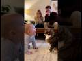 猫の声真似で猫と話しているような赤ちゃん👶🐈#cat #cats #baby #cute #funny #shorts #catvideos #赤ちゃん #猫