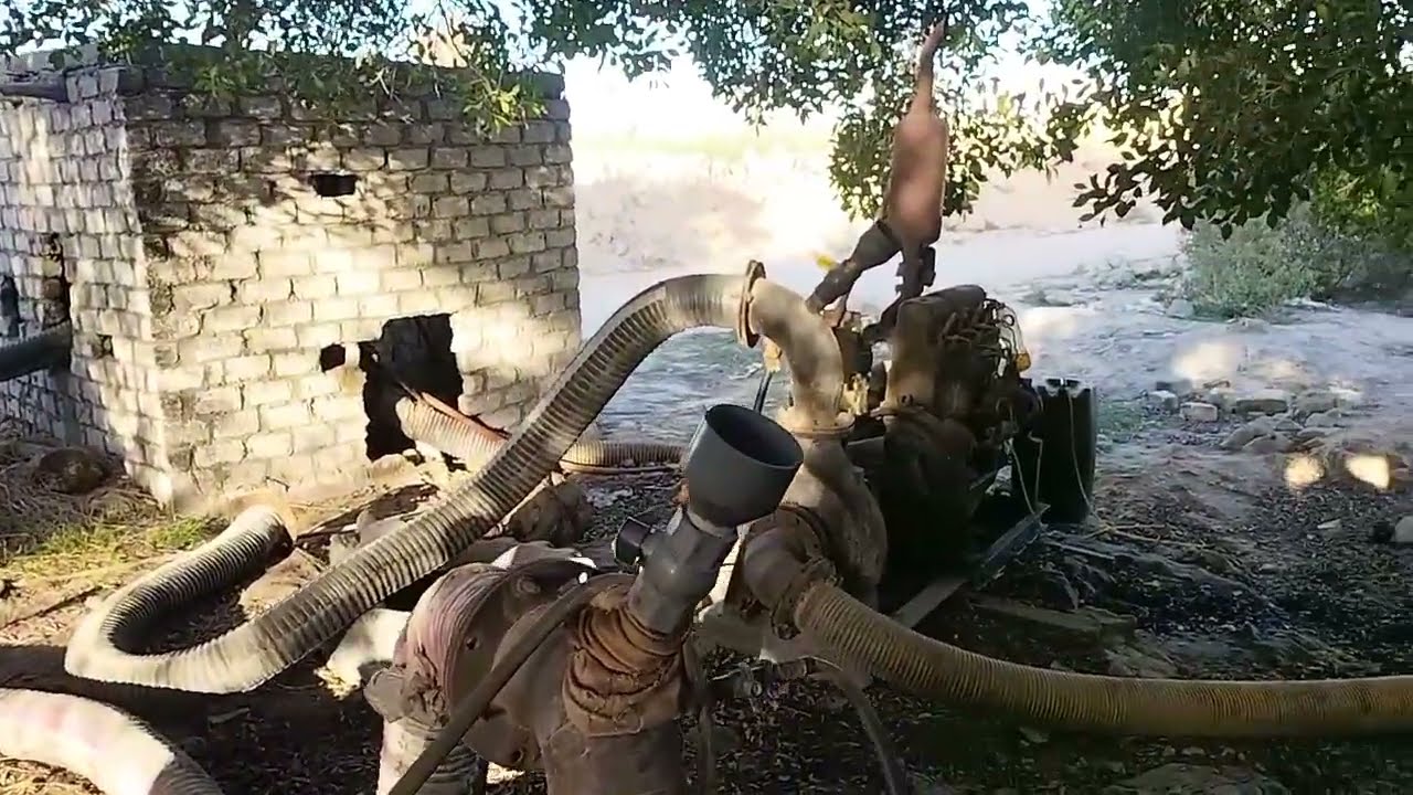 أرض زراعية ومنزل وحظيرة مواشي بسعر لقطه حرفياً الري غمر