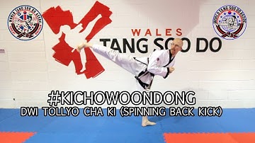 Ki Cho Woon Dong (WTSDA) Spinning Back Kick Tutorial