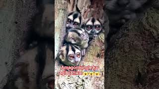 Amagon jungle ka agib janwar😱😱😱 #amazon #facts #amazonjunglekarahasya #amazonjungle