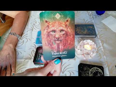 Video: Hayvan tarot kartları nelerdir?