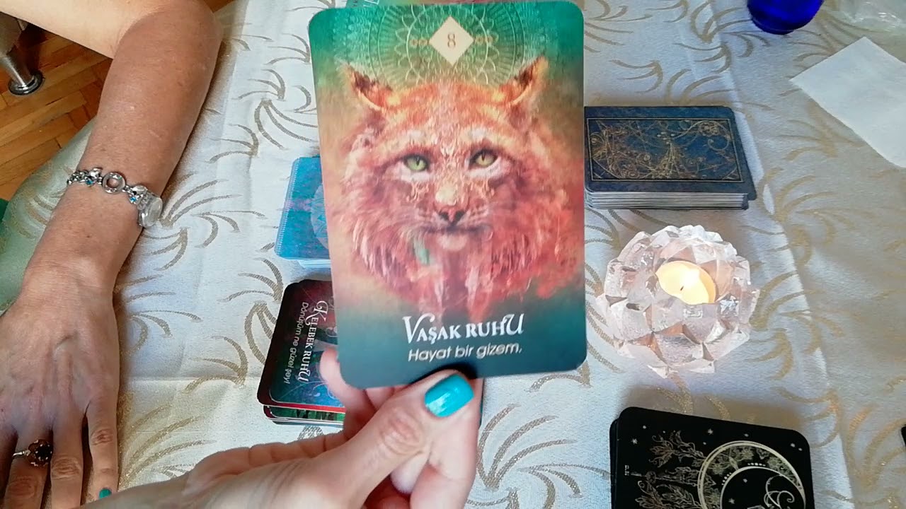 🦌🦃 RUH HAYVANLARI KEHANET KARTLARI 🦃🦌 #DESTE TANITIMI🌿 Colette Baron-Reid #tarotmesajları