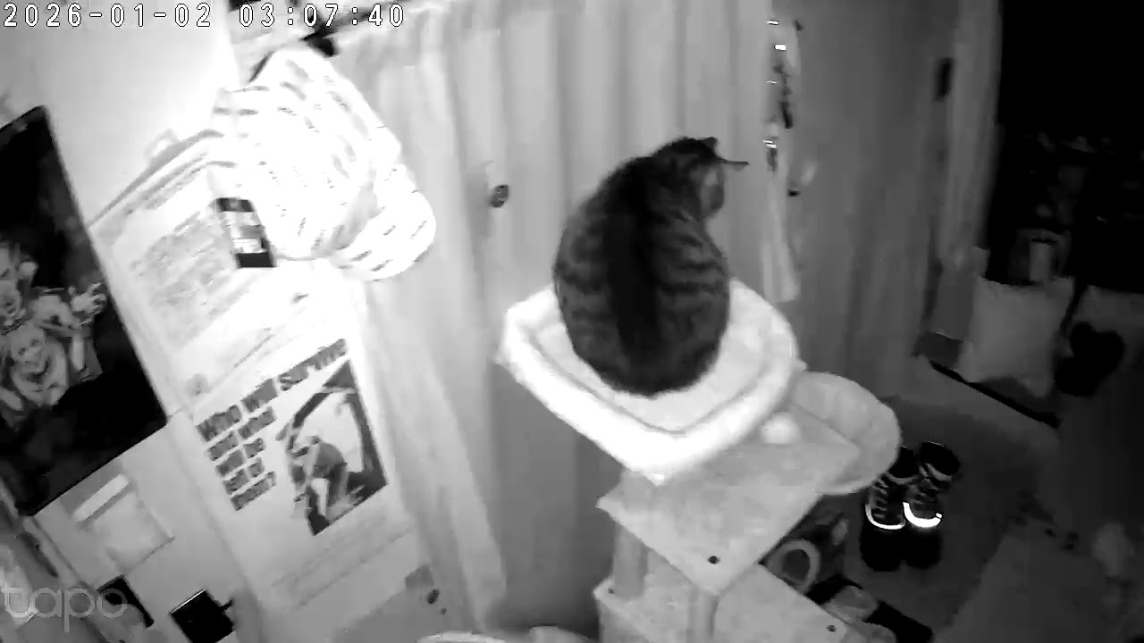 Things that go bump in the night part 2 