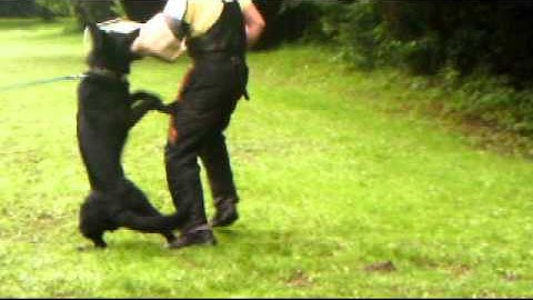 Cit Vitaxis - protection 7/2011