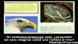 Creation VS Evolution Debates Kent Hovind Net Worth