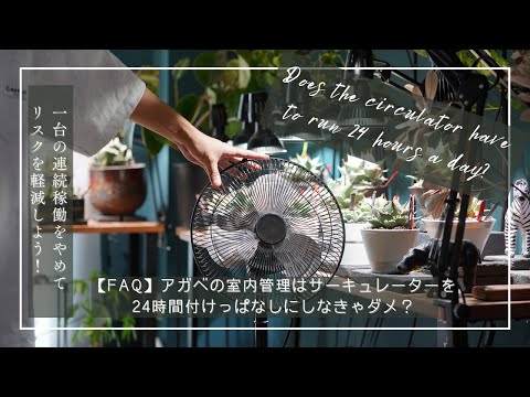 園芸用サーキュレーター hqdefault.jpg