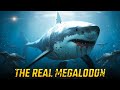 The Ruler of the Ancient Ocean | The Hidden Side of the Largest Shark in History