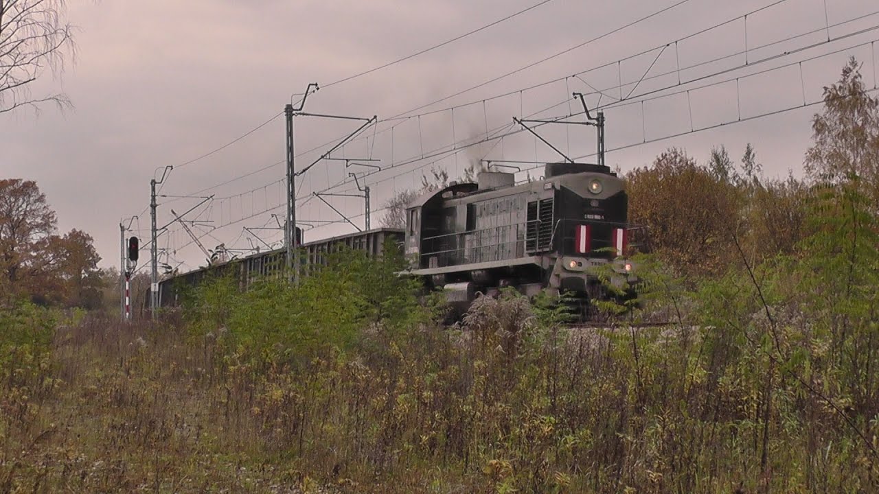 Pociągi towarowe & Bażant || Jesień 2016 rok na D29-133