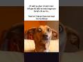 Ghar #memes #popular #viral #funnymemes #tweetreels #ghar