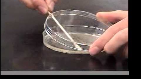 Disinfectants and Antiseptics