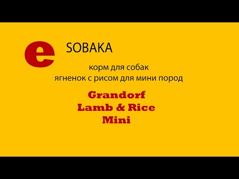 Grandorf Lamb & Rice Mini