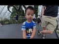 Cloud Forest - Experience Dinasour World 2025