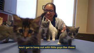 Vet Tech Week 2023