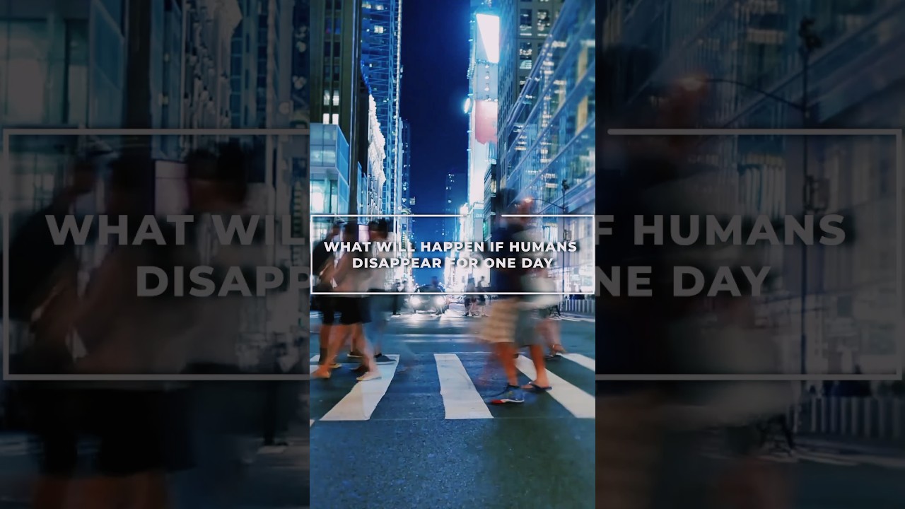 What would happen if all Humans dissapeard