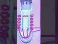 solar cells