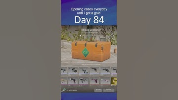 Opening Cases everyday until I unbox a gold | Day 84 #cs2 #caseopening