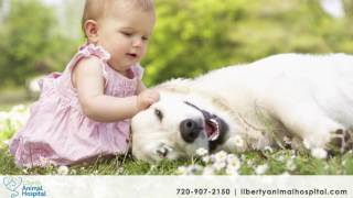 Liberty Animal Hospital | Veterinary Services in Westminster