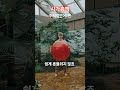 기업의 진짜 '덩치' 시가총액(주식의언어1편)