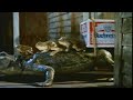 1995 budweiser frogs commercial