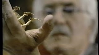 Cronos 1993 Trailer Vhs Capture