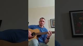 12 string raga improvisation