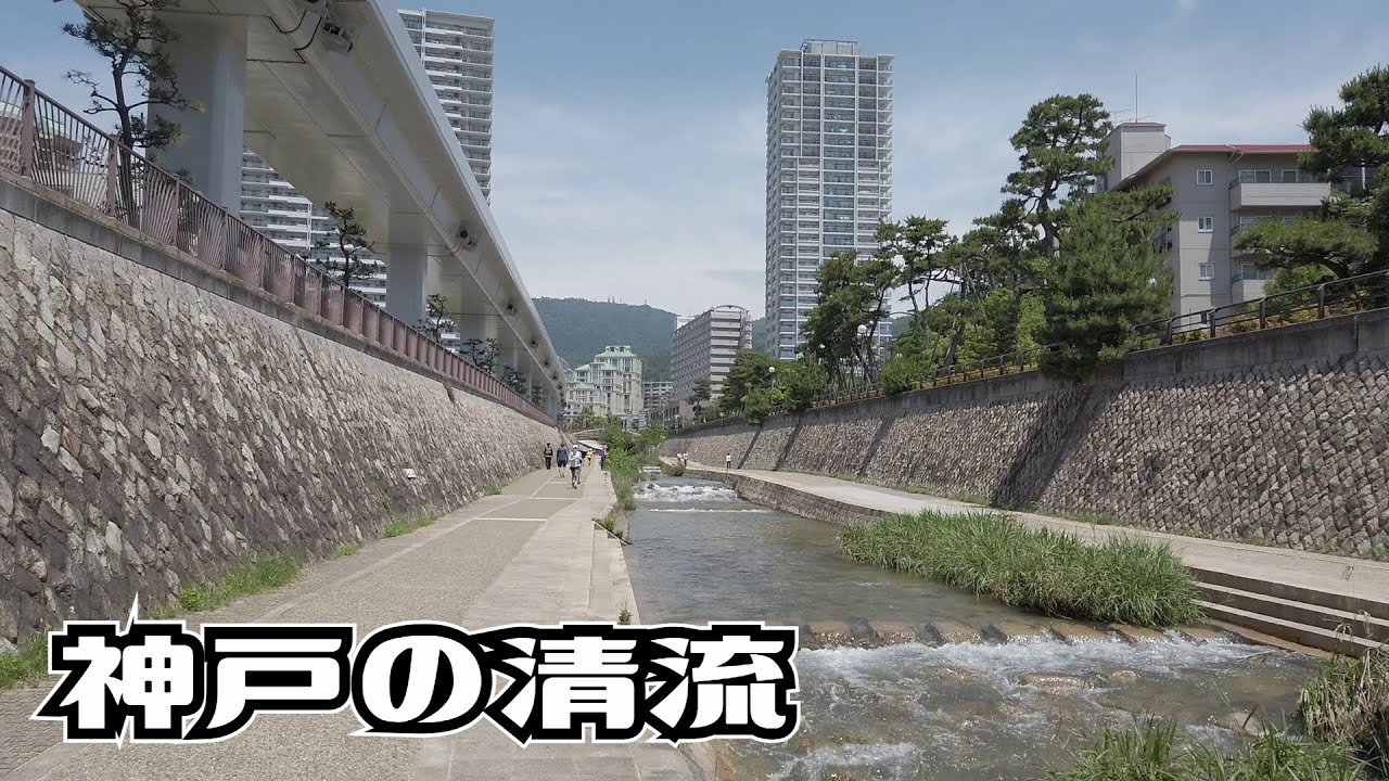 ぶらり #101 【神戸市東灘区】清流 住吉川
