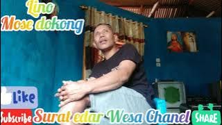 Lagu baru Lino mose dokong By ll Surat Edar ll