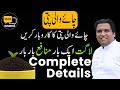 How To Start A Own Tea Patti Business In Pakistan Exclusive Sunday Meetup Session Complete Guide How To Start A Own Tea Patti Business In Pakistan Exclusive Sunday Meetup Session Complete Guide