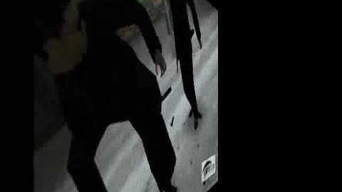 Max Payne Matrix Mod