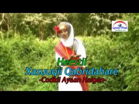 Heestii Xasuuqii Qabridahare Iyo Codkii Astaan Qaran Ayan Halgan