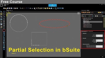 How to Perform Partial Selection in Biesse bSuite  Step‑by‑Step Tutorial / Biesse bSolid - Basic CAD