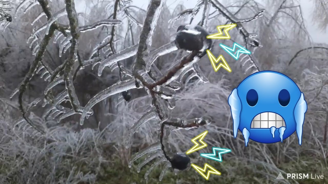 Texas ice storm update - YouTube