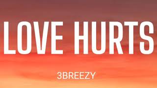 3BREEZY - LOVE HURTS ( LYRICS )