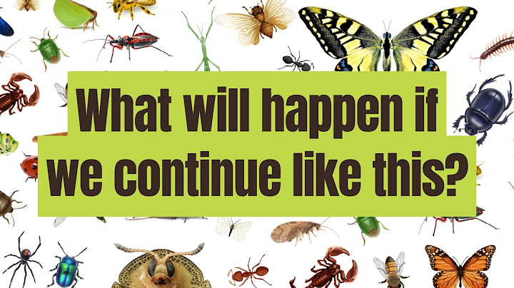 What will happen if we continue like this - Interview with Prof  Dr  Carsten Brühl