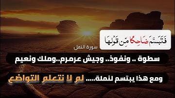فَتَبَسَّمَ ضَاحِكًا مِّن قَوْلِهَا  || احمد العجمى || سورة النمل