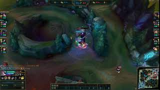 Trying Out Botrk On Fiora With Conqueror. Seems Good